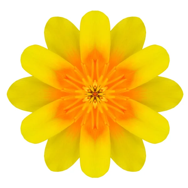 Gul Mandala blomma Ornament. Kalejdoskop mönster isolerade — Stockfoto