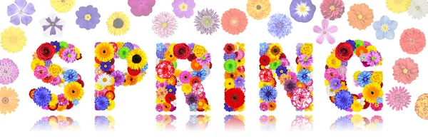 Word Spring Made of Colorful Flowers Isolated — Stock Photo, Image