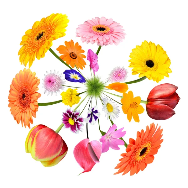 Bunte Blumen, die auf kleinen Grasplaneten wachsen — Stockfoto