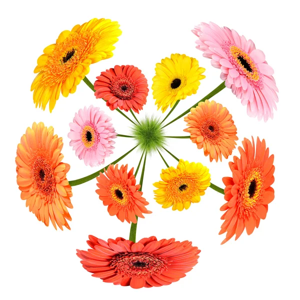 Colorful Flowers growing on little grass planet — Stock Photo, Image