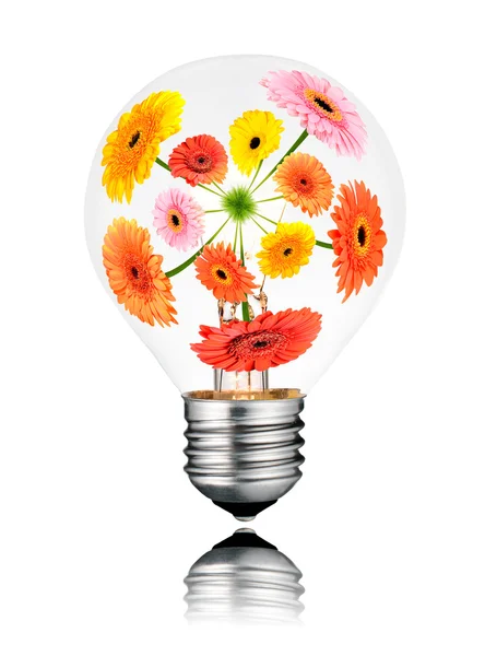 Glödlampa med blommor växer inuti isolerade — Stockfoto