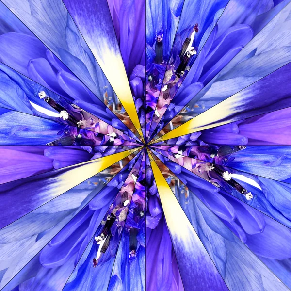 Blue Flower Center Collage Geometric Pattern — Stock Photo, Image