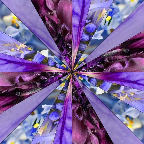 Centro de flores púrpura Collage patrón geométrico — Foto de Stock
