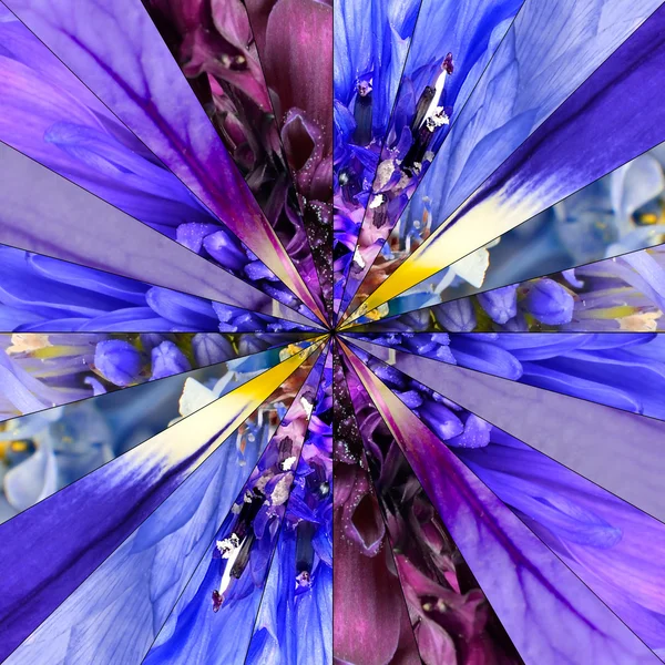 Modello geometrico del collage del centro del fiore blu — Foto Stock