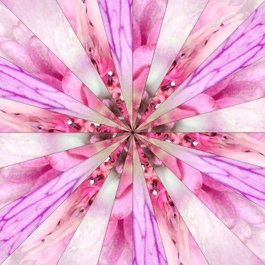 Pembe çiçek Merkezi kolaj geometrik desen