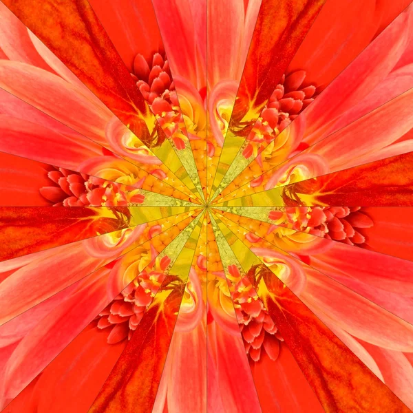 Orange blomma Center Collage geometriska mönster — Stockfoto