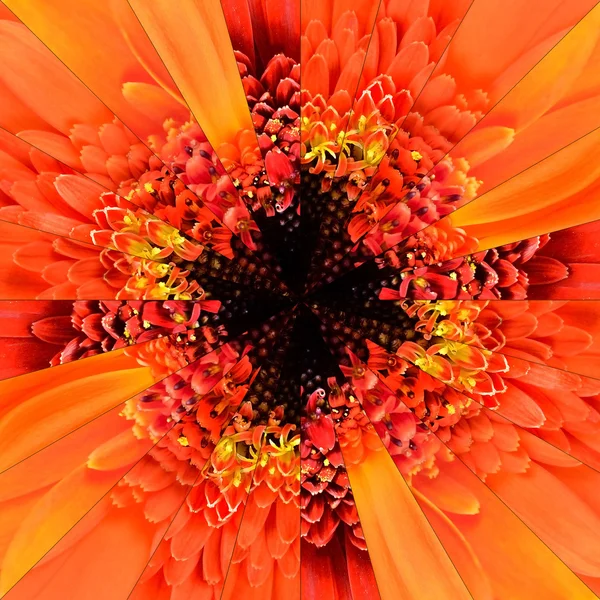 Orange Flower Center Collage Geometric Pattern — Stock Photo, Image