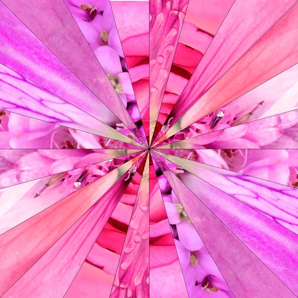 Pembe çiçek Merkezi kolaj geometrik desen — Stok fotoğraf