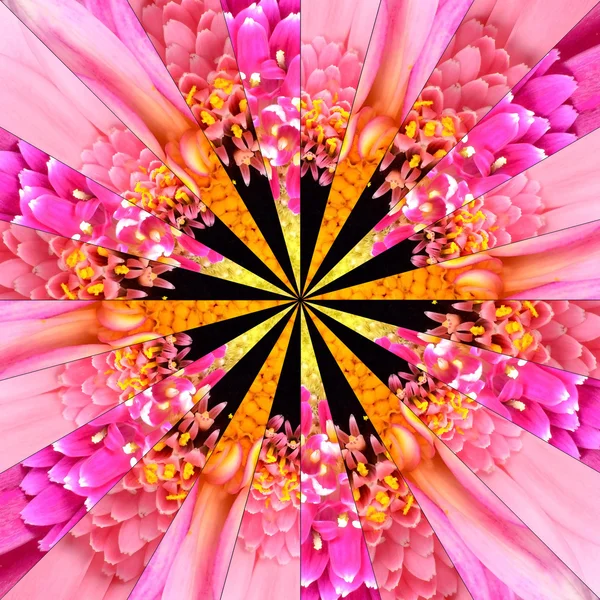 핑크 꽃 센터 콜라주 기하학적 패턴 — 스톡 사진