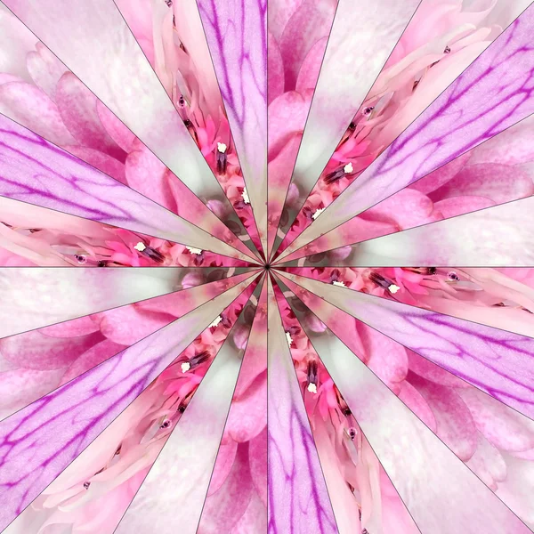 Pink Flower Center Collage Geometric Pattern — Stock Photo, Image