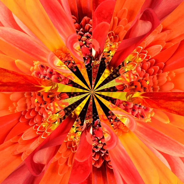Oranje bloem Center Collage geometrische patroon Rechtenvrije Stockafbeeldingen