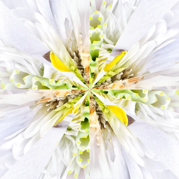 Weiße Blume Zentrum Collage geometrisches Muster — Stockfoto