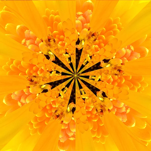 Gelbe Blütenmitte Collage geometrisches Muster — Stockfoto