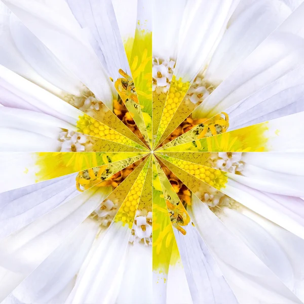 Witte bloem Center Collage geometrische patroon — Stockfoto