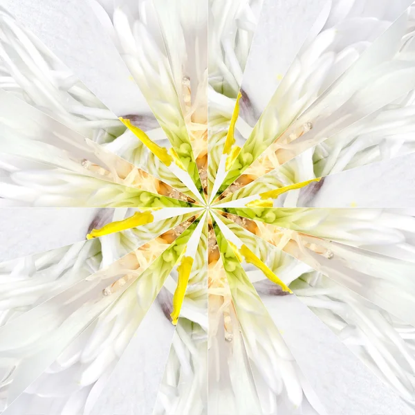Weiße Blume Zentrum Collage geometrisches Muster — Stockfoto