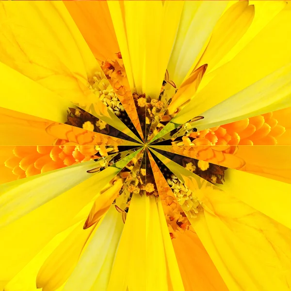 Yellow Flower Center Collage Geometric Pattern — Stock Photo, Image