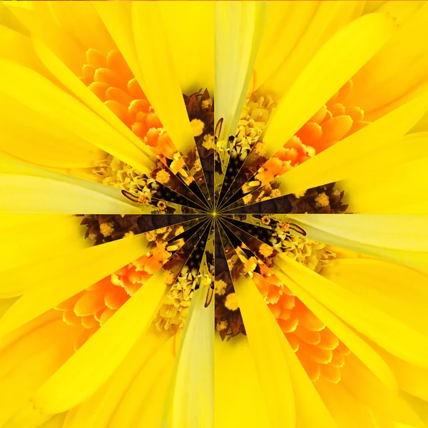Gele bloem Center Collage geometrische patroon Rechtenvrije Stockfoto's