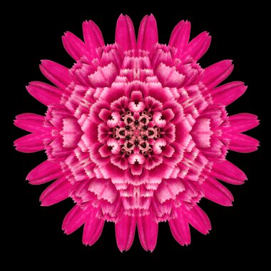 Siyah izole mor çiçek Mandala Kaleidoscope