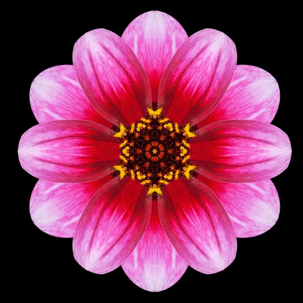 Lila blomma Mandala Kalejdoskop isolerade på svart — Stockfoto