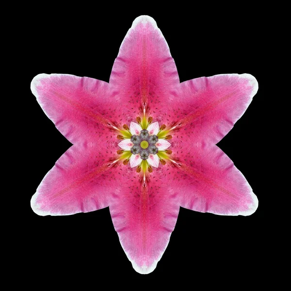 Lila Blume Mandala Kaleidoskop isoliert auf schwarz — Stockfoto