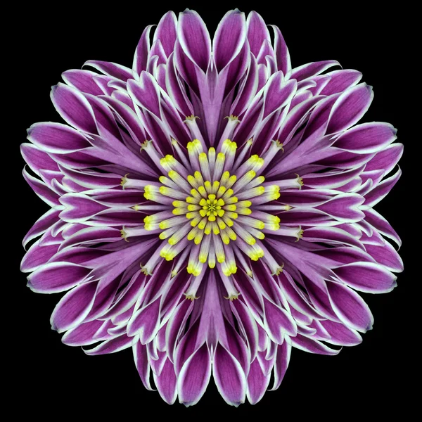 Caleidoscopio Mandala Fiore Viola isolato su nero — Foto Stock
