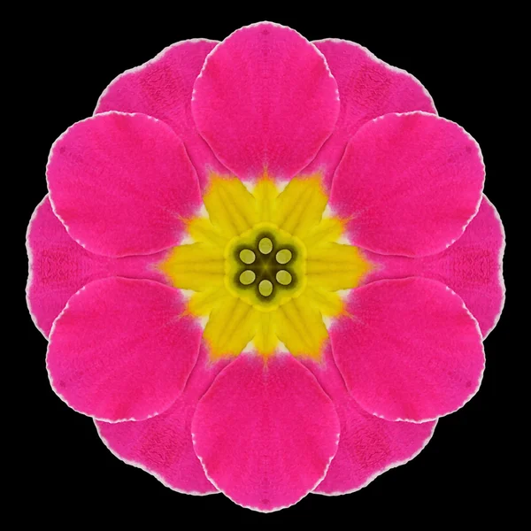 Lila blomma Mandala Kalejdoskop isolerade på svart — Stockfoto
