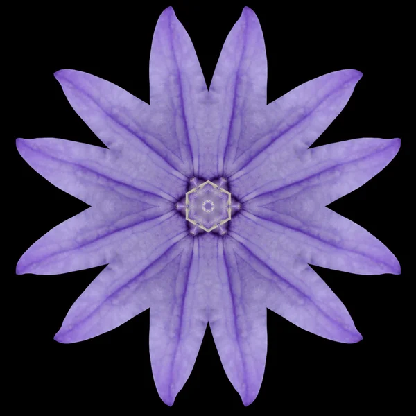 Caleidoscopio Mandala Fiore Viola isolato su nero — Foto Stock