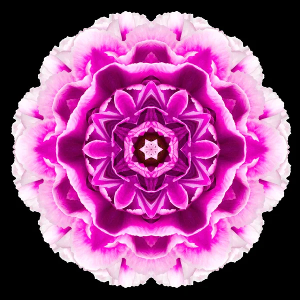 Lila Blume Mandala Kaleidoskop isoliert auf schwarz — Stockfoto