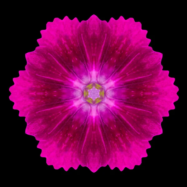 Fleur Violette Mandala Kaléidoscope Isolé sur Noir — Photo