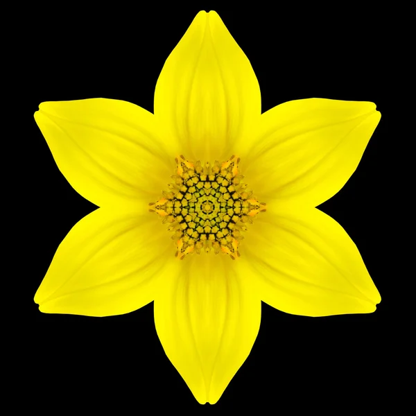 Kuning Bunga Mandala Kaleidoscope Terisolasi pada Hitam — Stok Foto