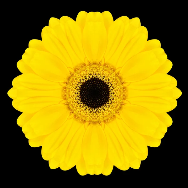 Желтый цветок Мандала Калейдоскоп изолирован от черного — стоковое фото