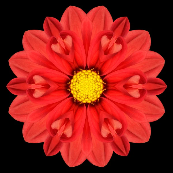 Röd blomma Mandala Kalejdoskop isolerade på svart — Stockfoto