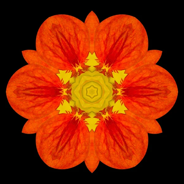 Caleidoscopio Mandala fiore rosso isolato su nero — Foto Stock