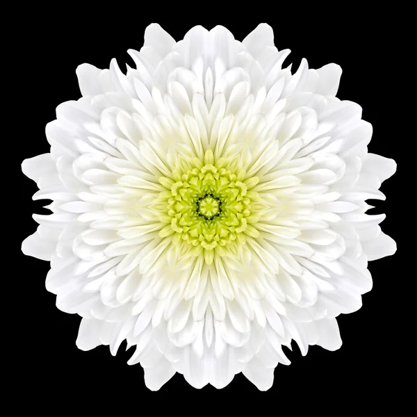 White Flower Mandala Kaleidoscope Isolated on Black — Stock Photo, Image