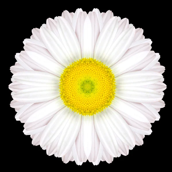 Caleidoscopio Mandala fiore bianco isolato su nero — Foto Stock