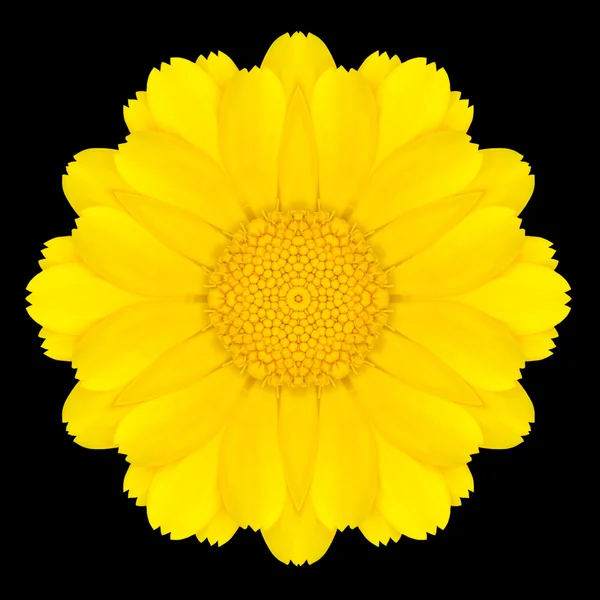 Gele bloem Mandala Caleidoscoop geïsoleerd op zwart Stockfoto