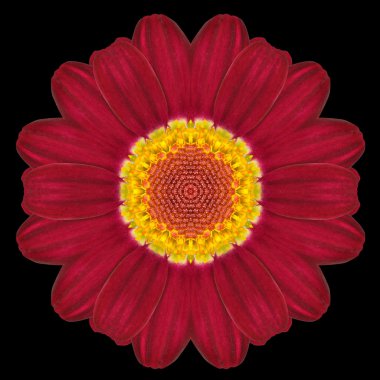 Siyah izole kırmızı çiçek Mandala Kaleidoscope