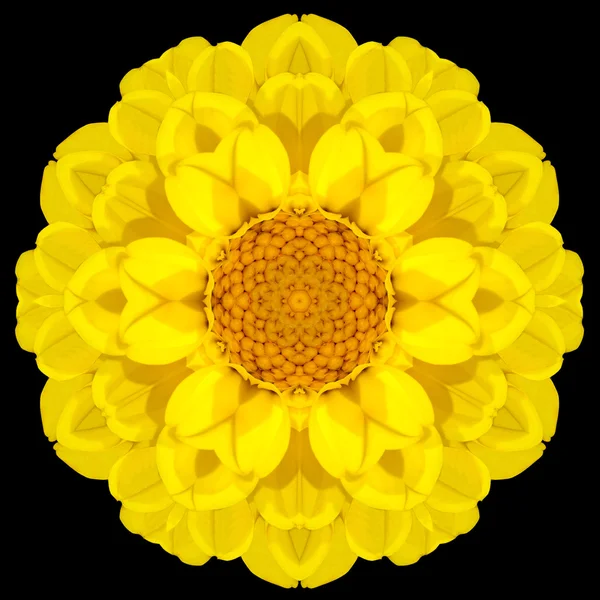 孤立在黑色的黄色花曼陀罗万花筒 — 图库照片