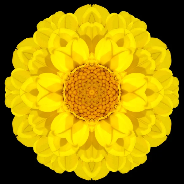 Amarelo Flor Mandala Caleidoscópio Isolado em Preto — Fotografia de Stock