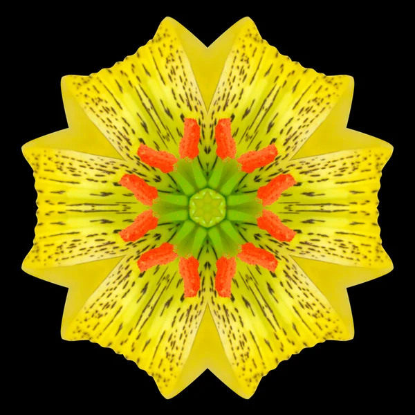 Siyah izole sarı çiçek Mandala Kaleidoscope — Stok fotoğraf