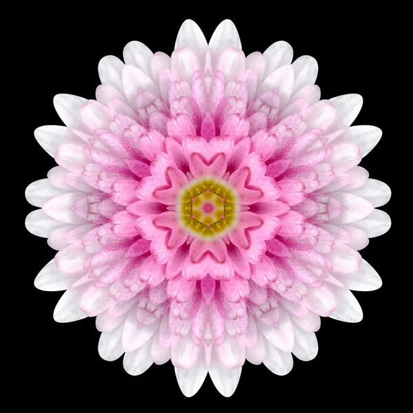 Pink Flower Mandala Kaleidoscope Isolated on Black — Stock Photo, Image