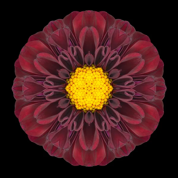 Caleidoscopio de Mandala de flor roja aislado en negro — Foto de Stock