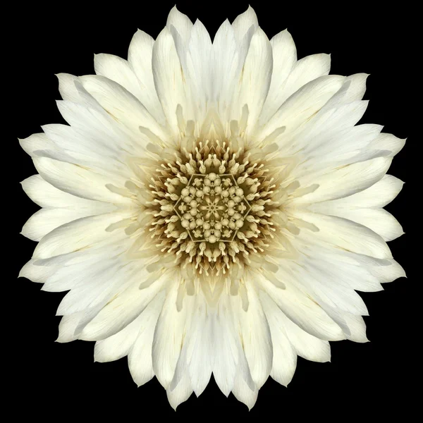 Kalejdoskop mandali kwiat biały na czarnym tle — Zdjęcie stockowe