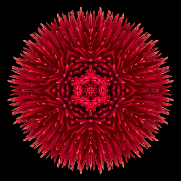 Rote Blume Mandala Kaleidoskop isoliert auf schwarz — Stockfoto