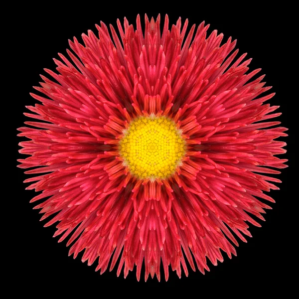 Caleidoscopio Mandala fiore rosso isolato su nero — Foto Stock