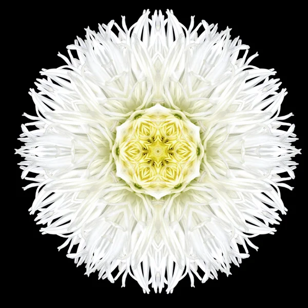 Caleidoscopio Mandala fiore bianco isolato su nero — Foto Stock