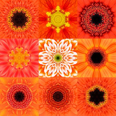 Dokuz turuncu konsantrik çiçek Mandala Kaleidoscope topluluğu