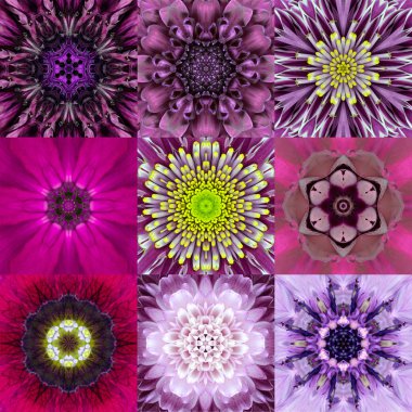 Dokuz mor konsantrik çiçek Mandala Kaleidoscope topluluğu