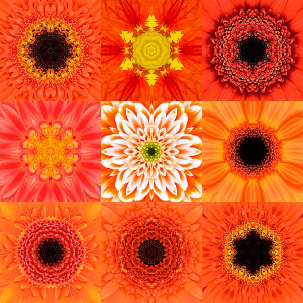 Collezione di nove fiori concentrici arancioni Caleidoscopio Mandala — Foto Stock