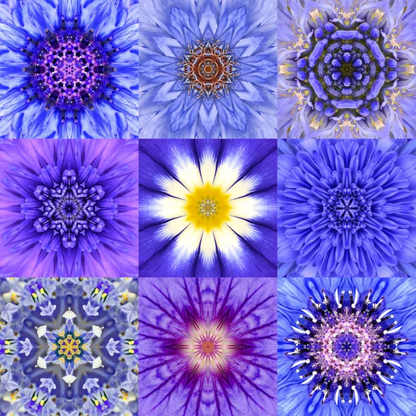 Collectie van negen blauwe concentrische bloem mandala's Caleidoscoop Rechtenvrije Stockafbeeldingen